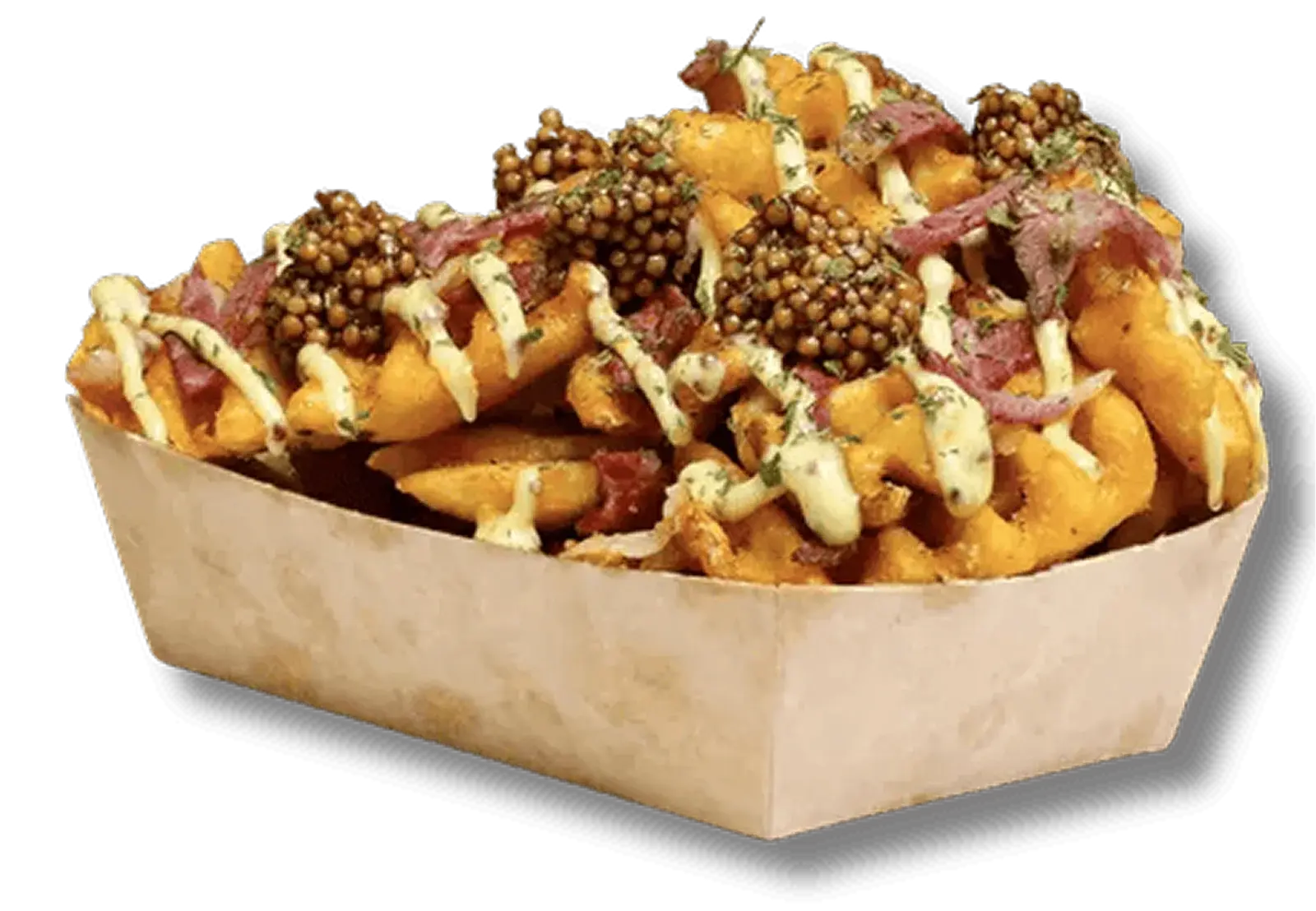 66ffc54c3632501af5d77d6d_Pastrami-Fries-p-500-1 (1)